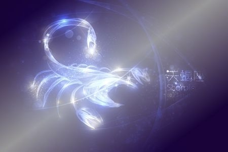 属鸡▲感情里最愿意付出的星座女