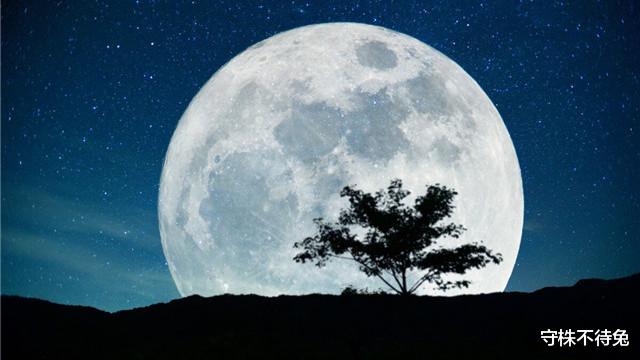 |22个冷知识:或许听起来有些荒诞,但却真实存在着