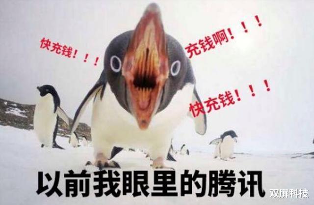 腾讯■腾讯遭遇诈骗，支付宝：希望天下无假章！