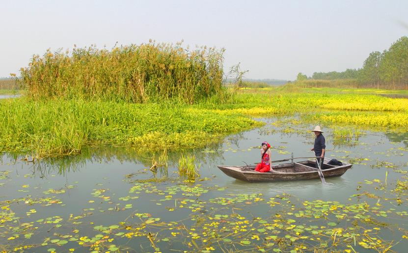 濒危物种|大湖灰狼保持濒危状态