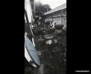 脑回路|“古时候没电，古人是怎么过夜生活的？”神评的脑回路真奇特！哈哈哈