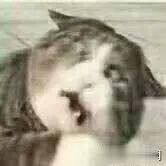 临安|婴儿游泳馆溺水挣扎3分钟无人察觉！监控画面曝光后令人揪心