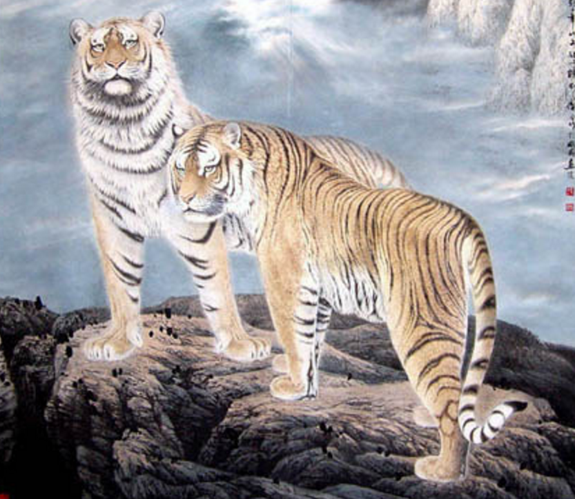 大金虎 ，怕是要五福临门了！有天大喜，未来幸福跑不了？