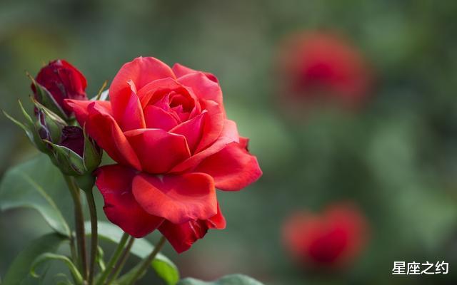 [属牛]4.24-28星座运势：白羊提高警惕，天蝎独立自主，双鱼沟通畅通