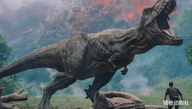 短面熊■霸王龙和巨型短面熊，谁更厉害？为什么？