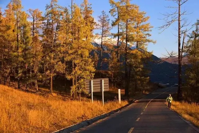 自驾|全国最早一波秋色来了！这6条自驾路线，9、10月美成天堂