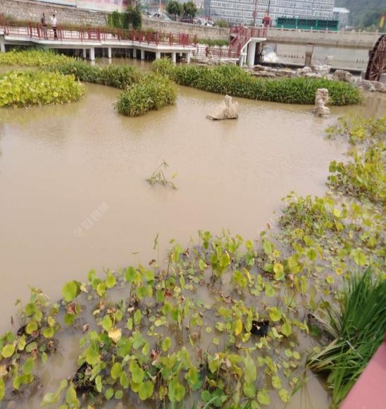 饵料|南鱼北调把鱼养，来年再战不空军