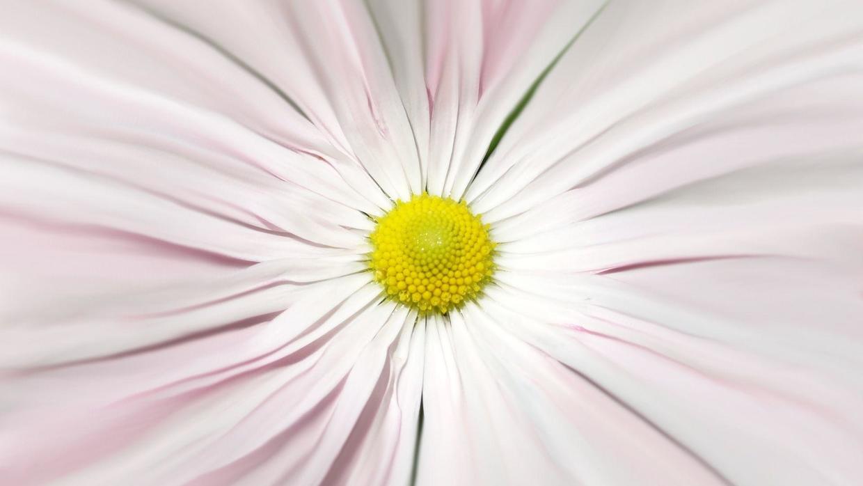 星座男|最容易在家里，大呼小叫的星座，在外却不吱声