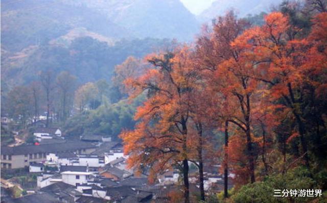 『九寨沟』?中国备受好评的10个景点，您去过几个