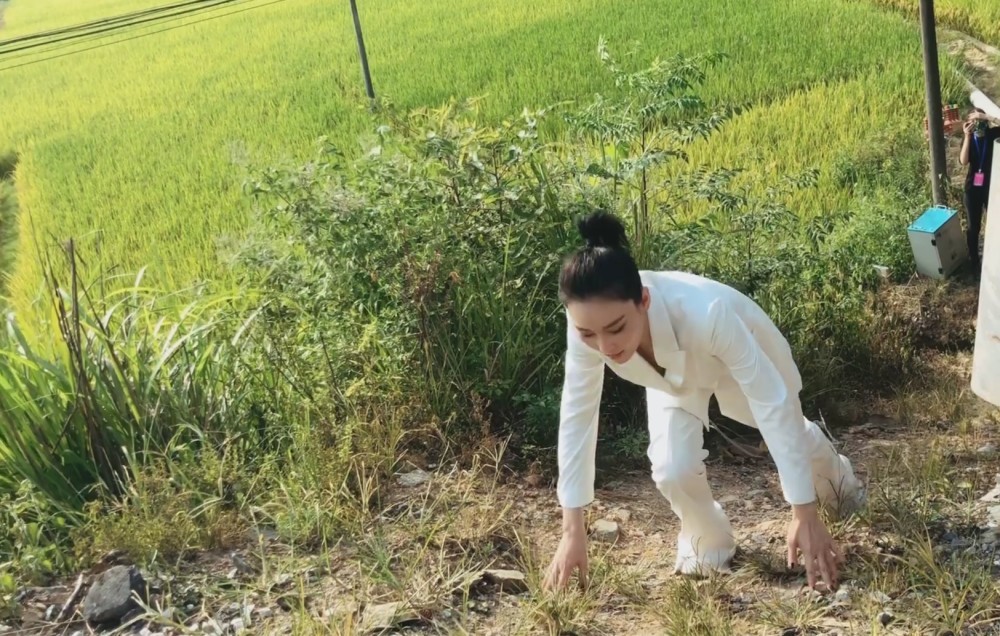 张馨予|张馨予晒稻田美照，气质出众不愧是最美军嫂，衣服却和周围环境不和谐