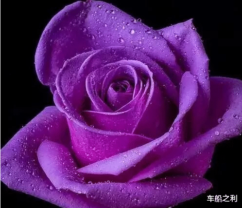 【生肖】7月3号紫气东来,转运熬过大难,咸鱼翻身的3个生肖