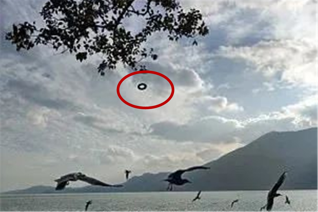 外星人|台湾游客在云南拍到不明物，形状像极了轮胎，外星人来中国了？