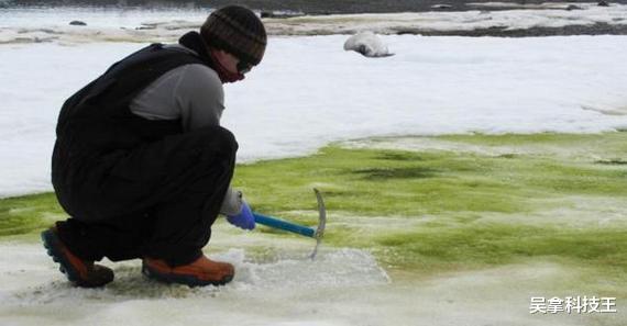 【南极】2020地球怎么了？南极又一坏消息传来，科学家发现了意外的东西！