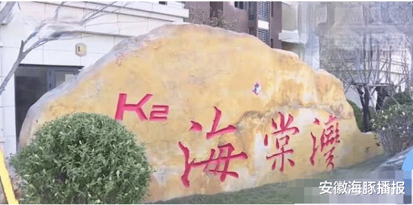 安徽海豚播报 60米地暖管挖开只有20米,开发商:只给铺管,砸地面铺地面都不管