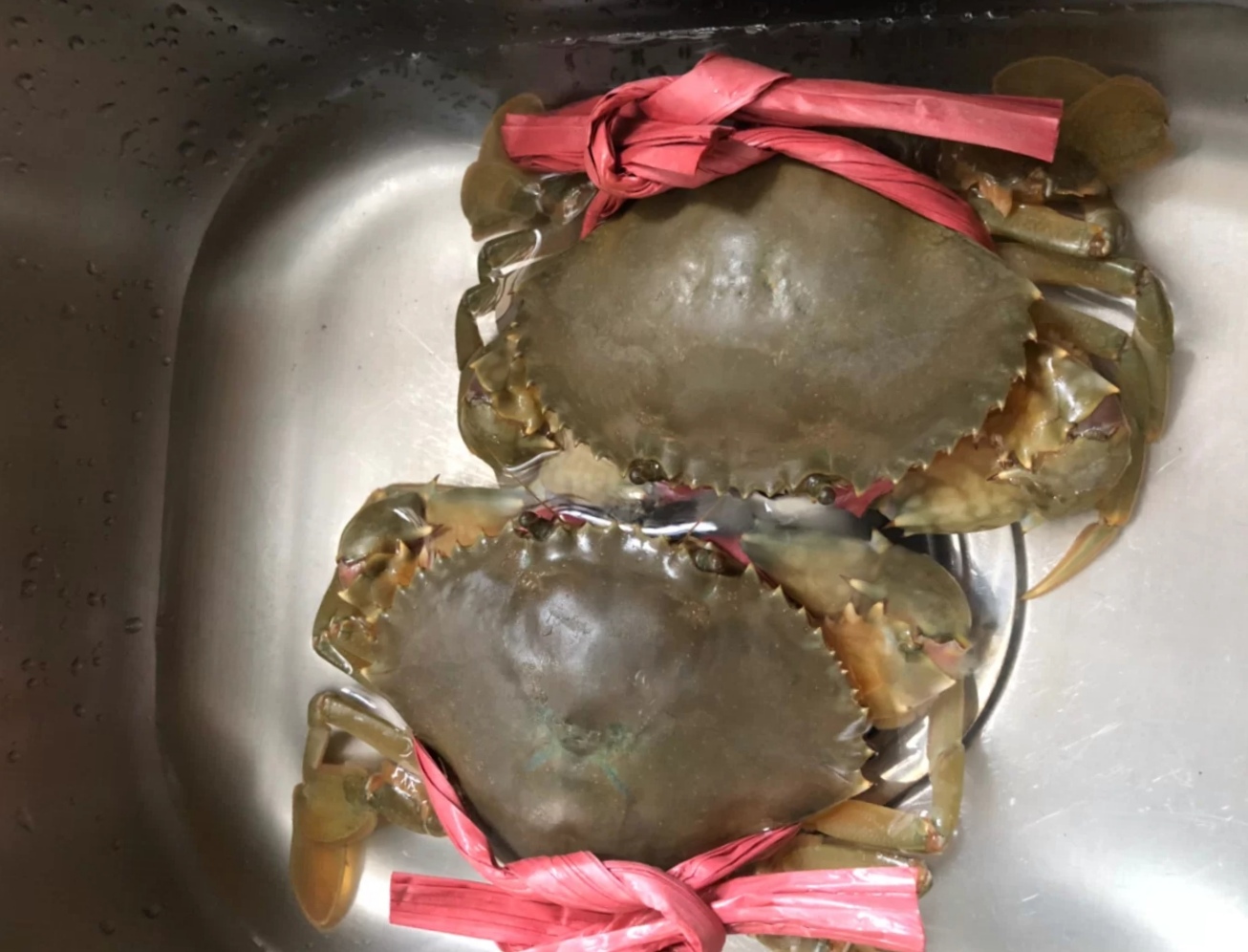 螃蟹▲它被称为“蟹中之王”，想吃还得靠运气，饕客：鲜味无可超越