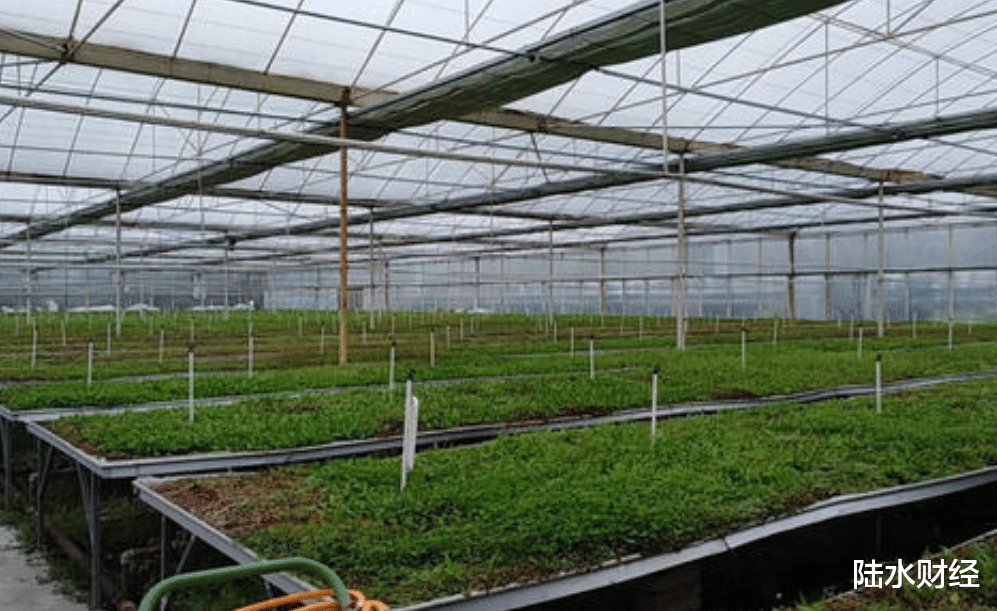 芯片|每年进口花32亿，价格比国内贵十几倍！中国依赖进口的，不止芯片