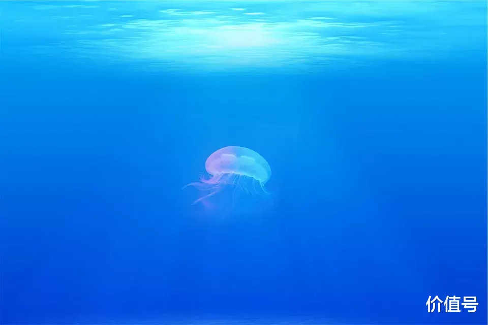 自媒体|自媒体月入过万并不难，我来告诉你新手怎么做自媒体赚钱