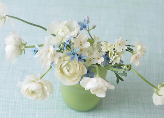 吉星|8月，咬咬牙，扛到底，4生肖迎来好春光，事业枯木逢春，爱情开花