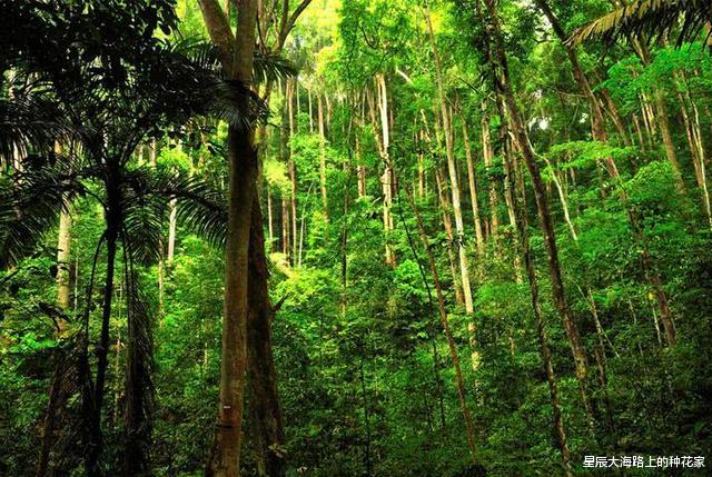 「量子力学」地球到底是什么形状的？NASA公布结果，地球不是一般的丑！