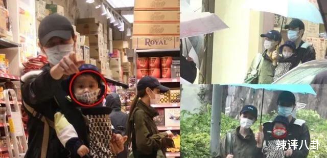 陈凯琳：意外怀孕打乱生意陈凯琳产前抑郁？老公财政困难胡杏儿被嘲大象腿