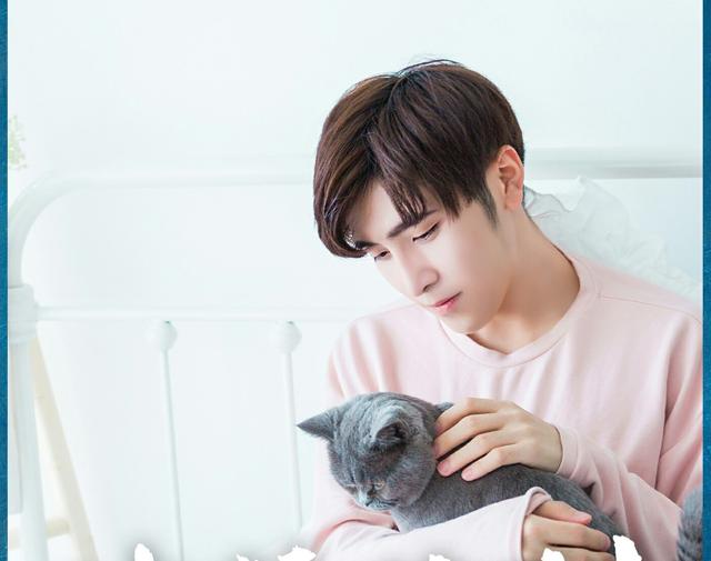 []又来一部高颜值甜宠剧，冷漠精英爱上热情无赖少爷！