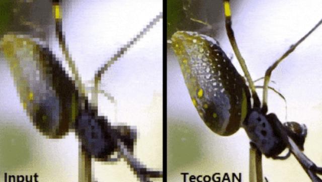 『软件』马赛克去除技术问世，能够清晰还原视频和照片？网友：考虑过他人的感受吗？