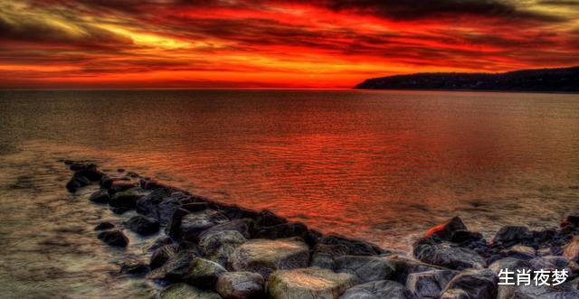 生肖|8月底，前任回头，一扫阴霾，3生肖再次收获爱情，甜蜜溢于言表