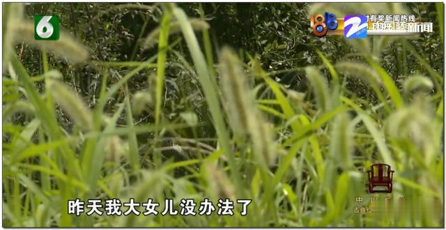 河南商报|老公车祸深度昏迷 妻子拿走赔偿款却拒医药费？婆婆急找儿媳讨银行卡