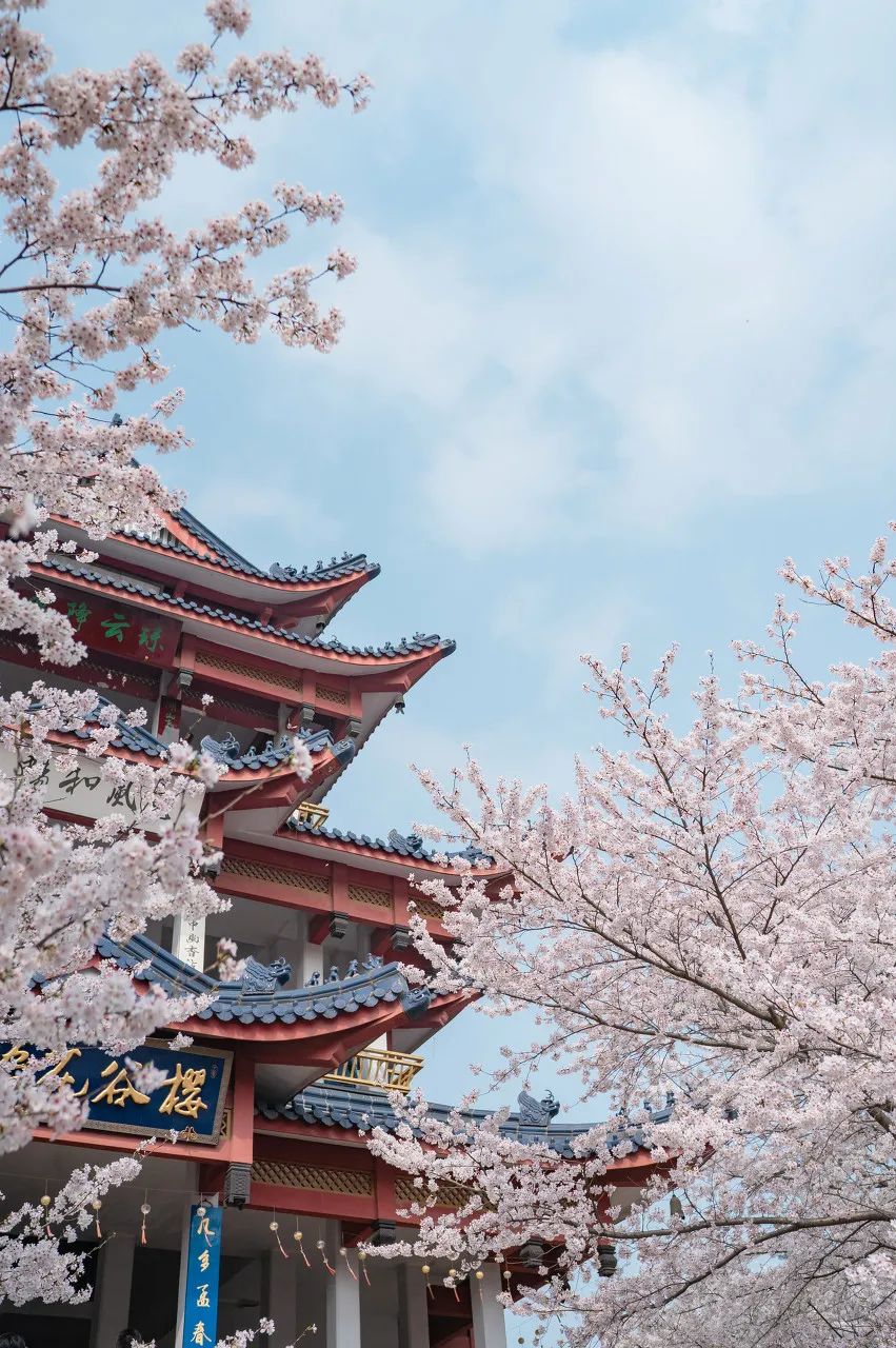 旅行|15个情侣最爱打卡的旅行地，去过5个忍不住想结婚！