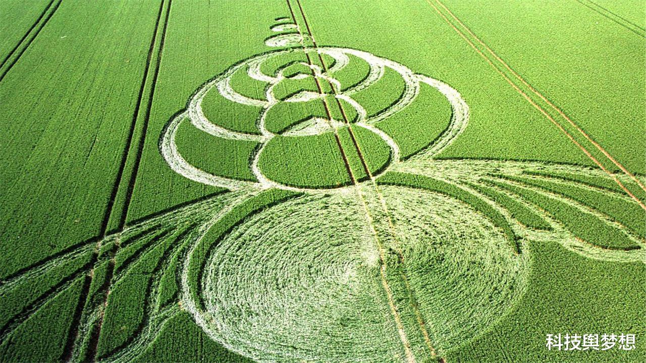 麦田怪圈|用麦田怪圈能破译外星人信号？科学家尝试过，结果成功了！