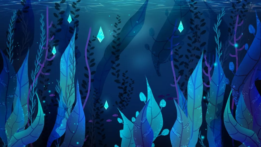 水草缸基础知识