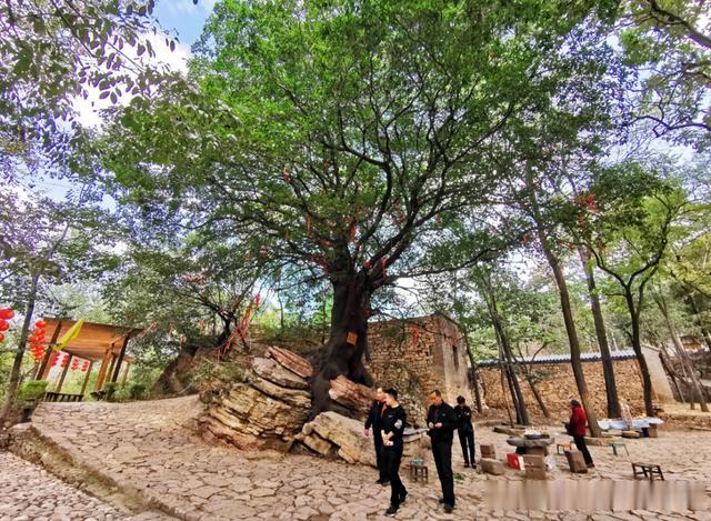 许昌报业传媒集团|许昌又一好去处邀你来打卡