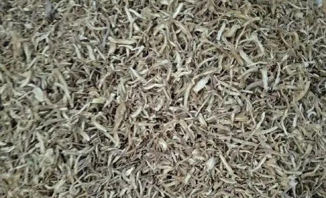 【中药材】「快讯」会川中药材市场行情一览