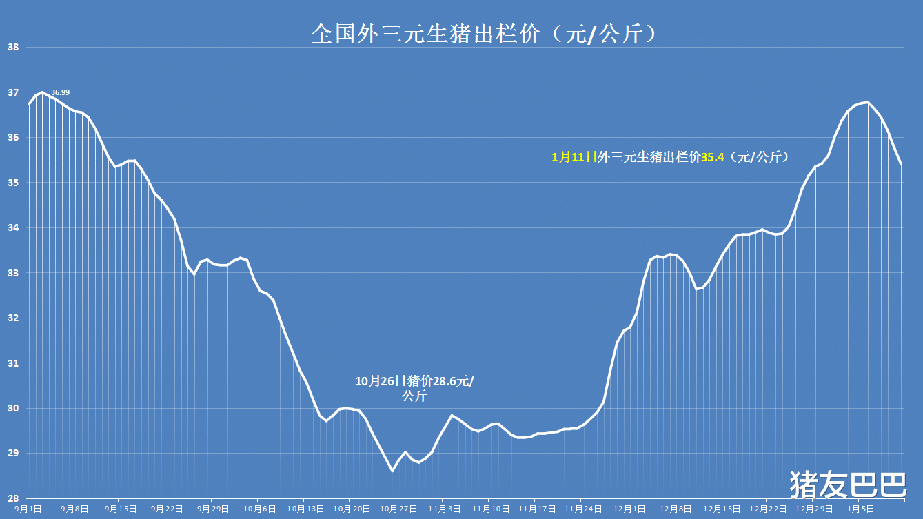 生猪价格 11日猪价大厦将颠，逆改行情的导火索，狂扫落叶般压制猪价反弹！