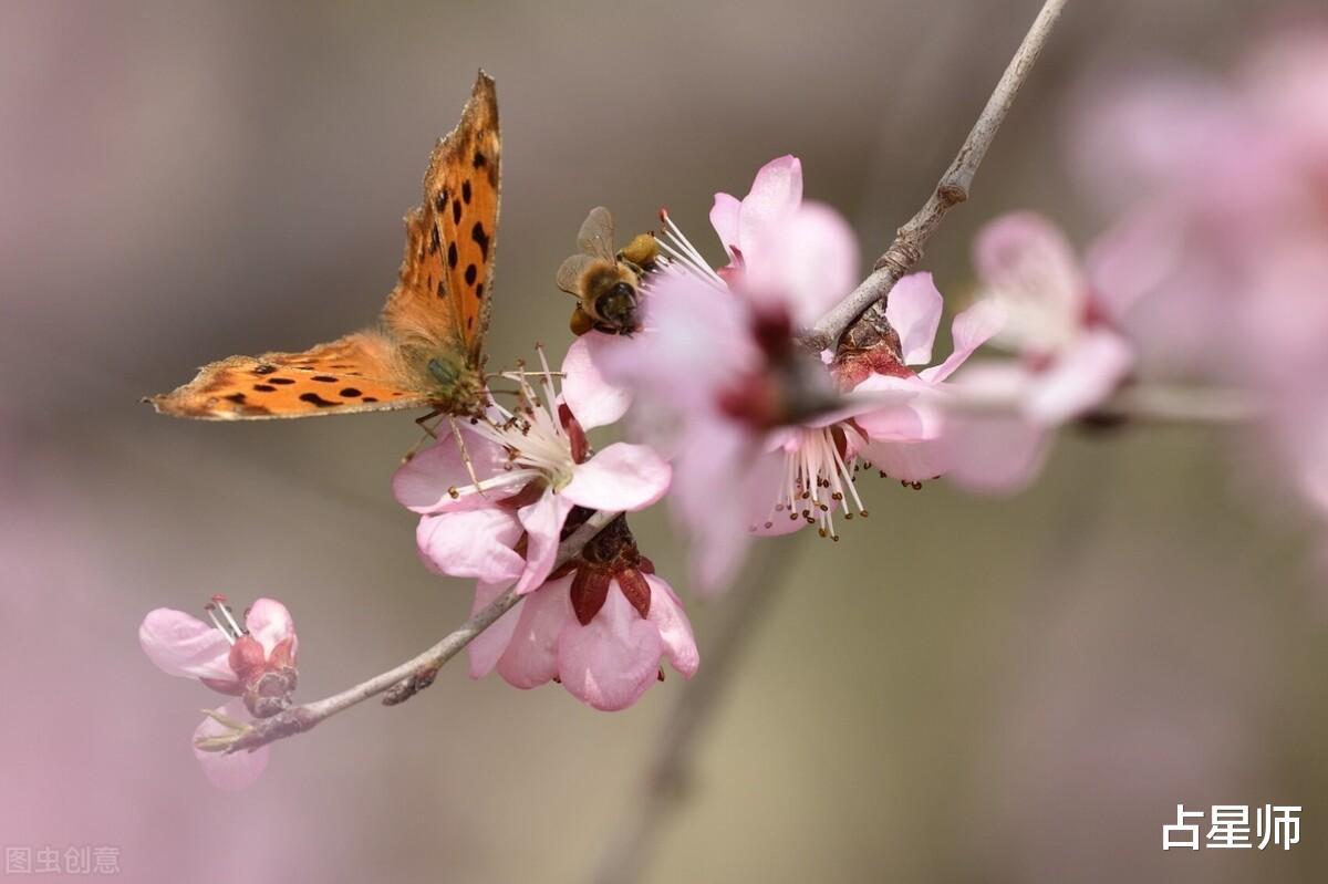 米勒|(日运)苏珊米勒_8月19日星座运势:百般红紫斗芳菲