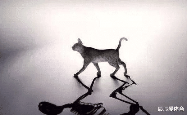 「量子力学」为什么说量子力学被证明是对的后，人生将变得毫无意义呢？