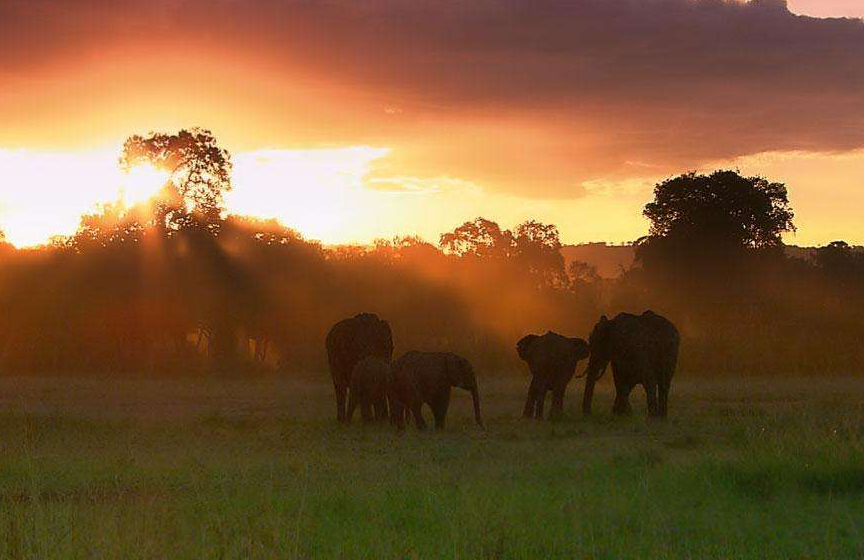 段永平▲一年内本金翻了50倍的投资达人段永平的投资理念（期货和股票交易者建议看看）