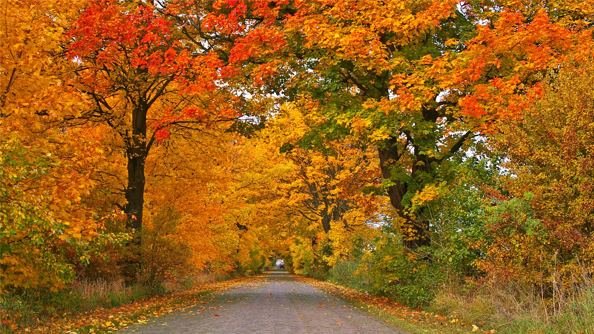 运势|从9月18日开始,运势如虹,会福星高照,招财进宝的三大生肖