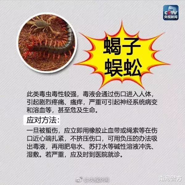 南河警方|太危险！女子景区内被咬，命悬一线！这虫广东很常见，已有多人中招