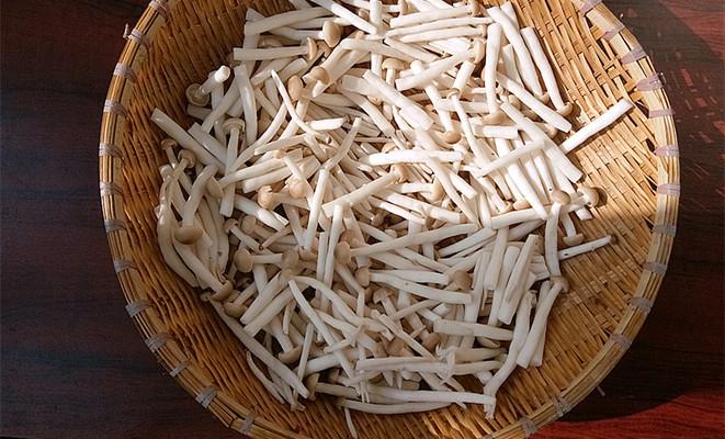 蟹味菇@6月多给孩子吃这菜,对眼睛好,常吃头脑聪明,缺点就是贵了点