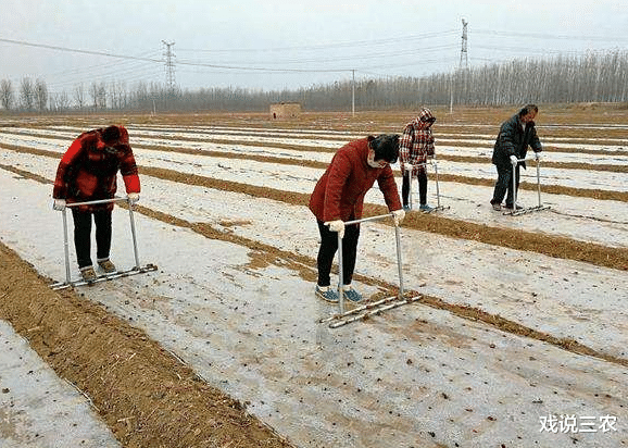出嫁女■农村7月出新规?出嫁女的好福利要来了?3个好消息,你期待哪个?