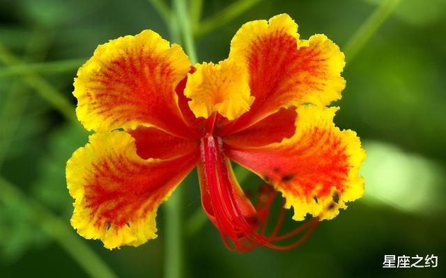 「运势」5.21-31星座运势：双子实力大增，天蝎随机应变，双鱼家庭为重