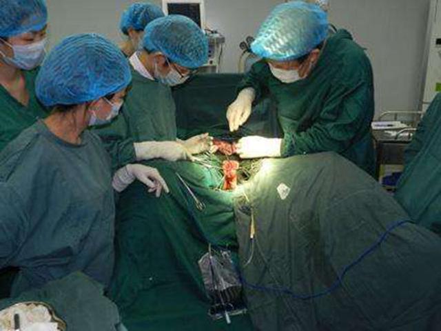 茄子|30厘米的茄子快顶到心脏了，医生也没有办法，直摇头