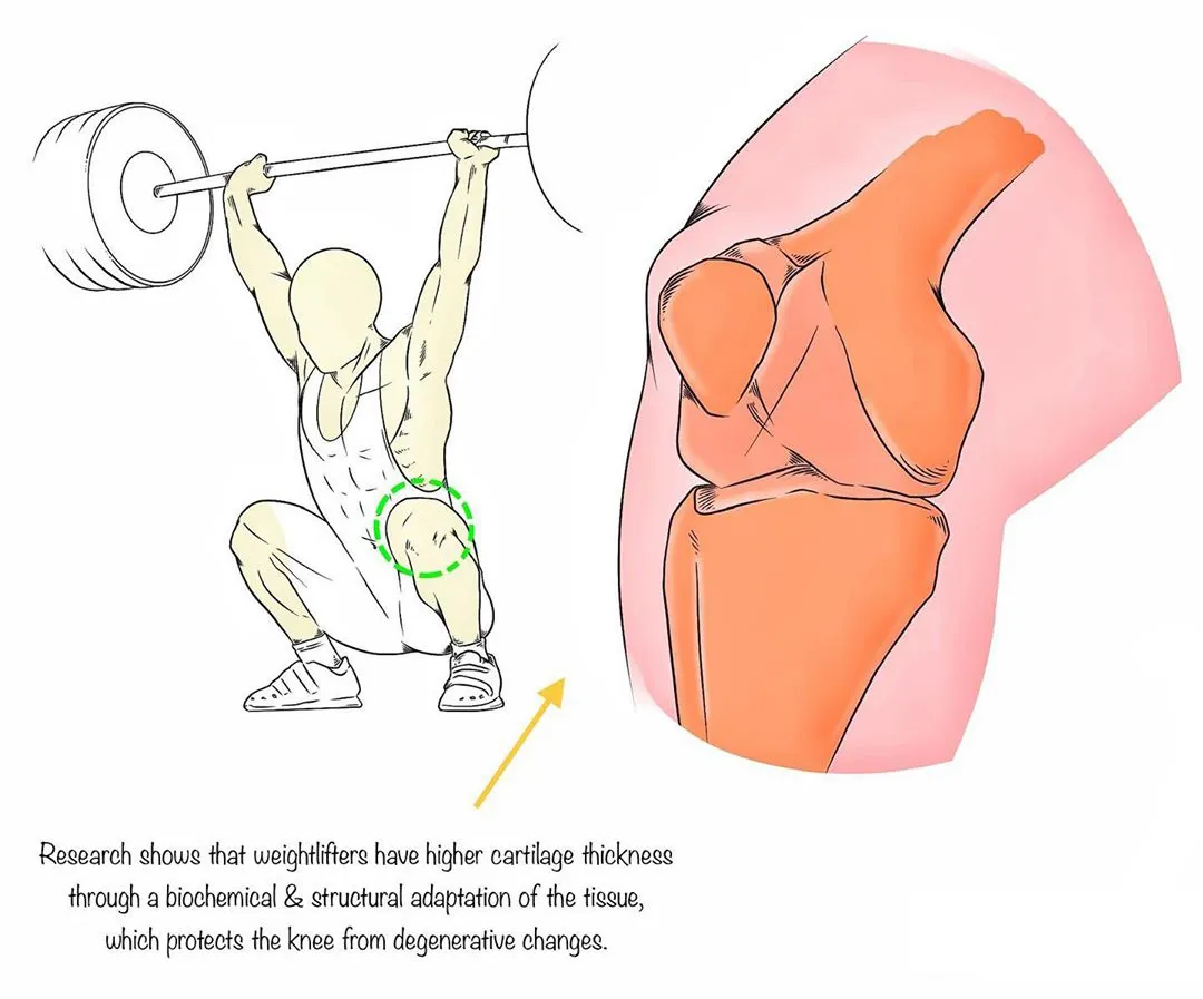 深蹲|本文极易引起健身姿势刷新，请务必认真阅读