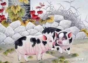 |大金猪：未来三天好运缠身，“紫气东来行大运，大吉大利发大财”