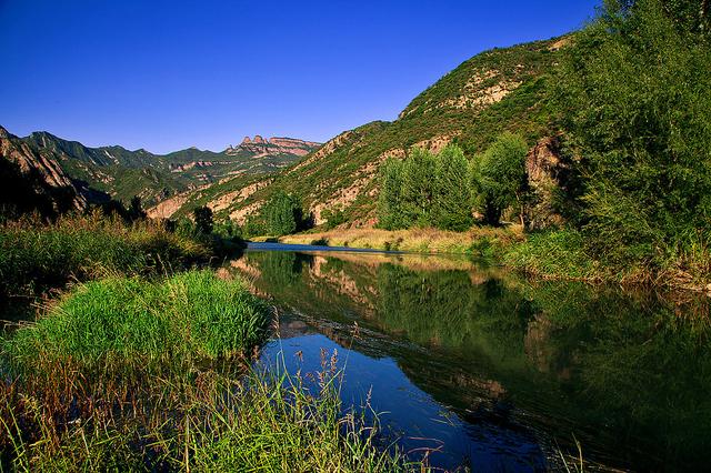 生肖|8月，贵人相助，出人头地，3生肖好运纷至沓来，旱苗得雨如意顺遂