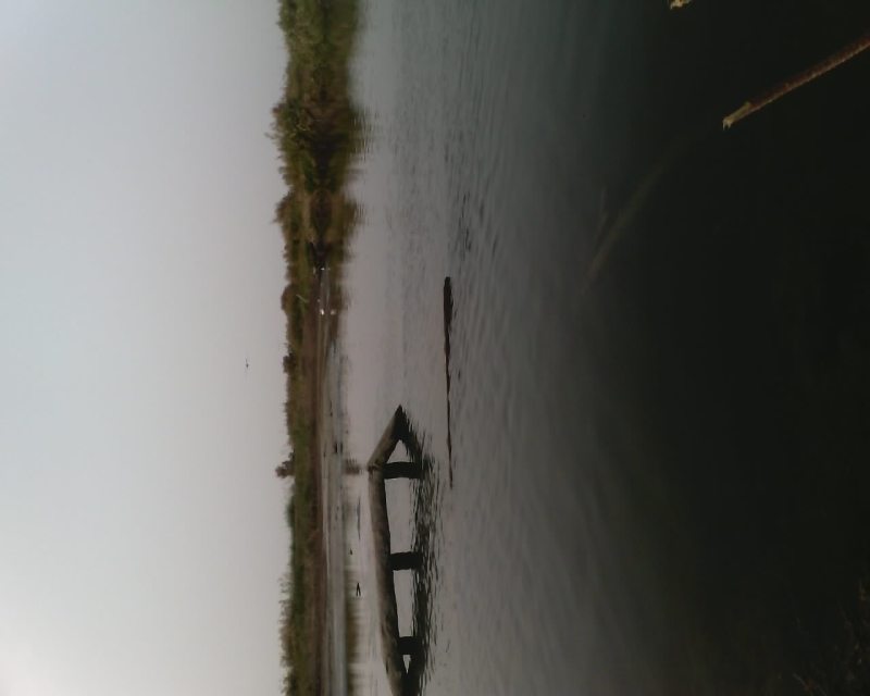 【】快乐时光，走起钓鱼！