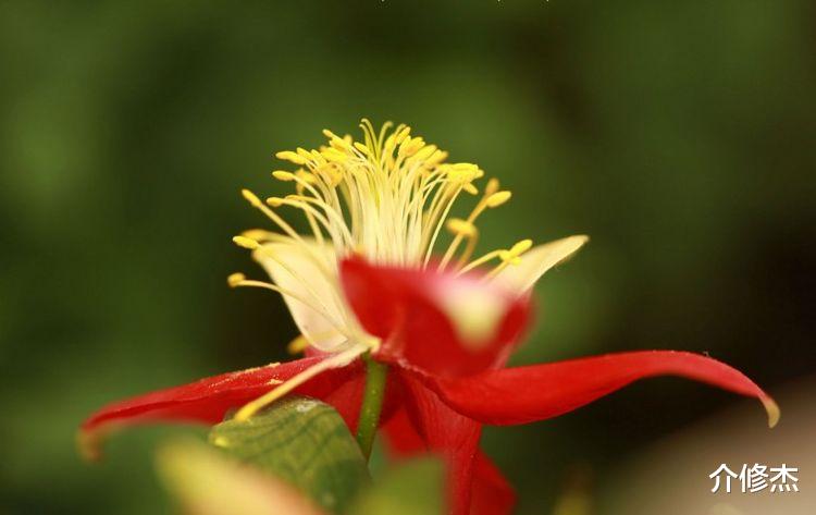 天赐良缘|9月末，鸾凤和鸣，姻缘相配，天赐良缘遇到属于自己真爱的四星座