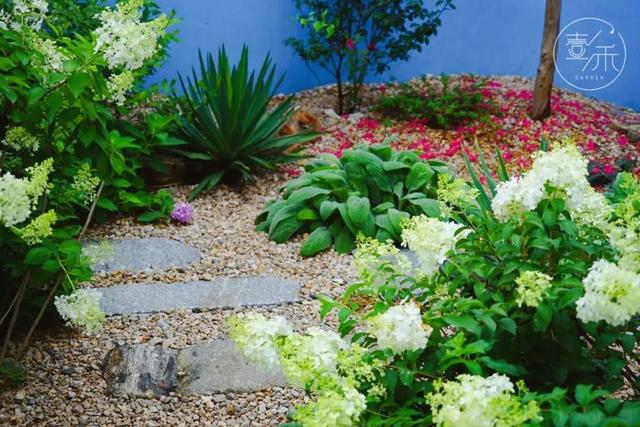 子木|沙地花园，低维护成本的花园设计