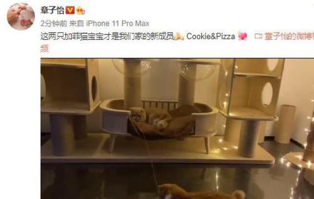 撒贝宁|章子怡崩溃大哭，含泪坦白与央视主持撒贝宁分手内幕：因为我有病